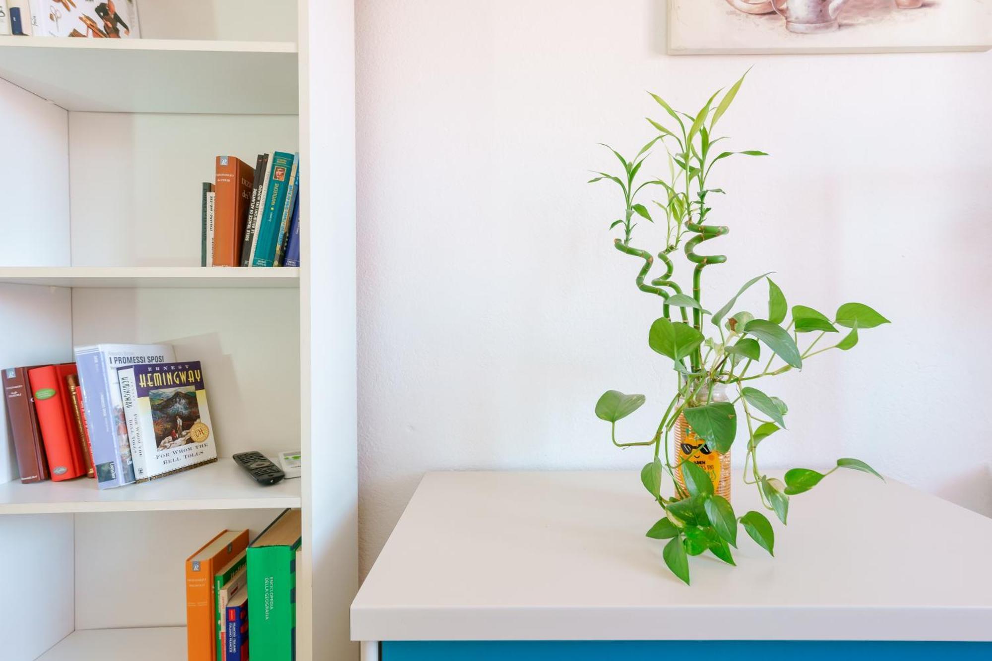 B&B Pothos - Eng Ita - Air Conditioning Wi-Fi Fridge Netflix Local Guide - Aria Condizionata, Frigo, Internet, Guida Locale Cagliari Luaran gambar