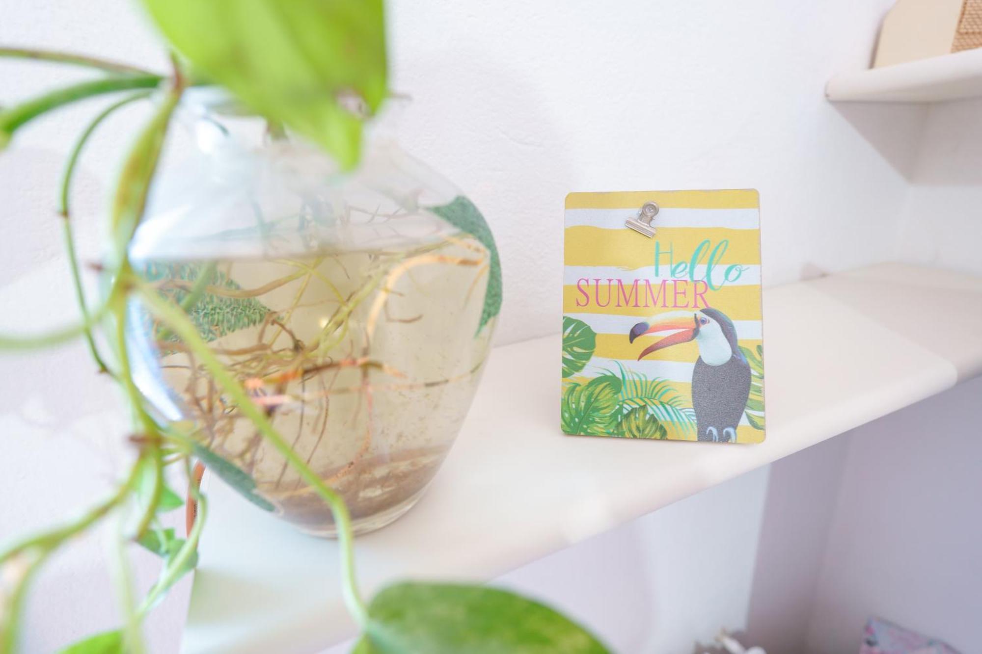 B&B Pothos - Eng Ita - Air Conditioning Wi-Fi Fridge Netflix Local Guide - Aria Condizionata, Frigo, Internet, Guida Locale Cagliari Luaran gambar